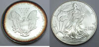 Anlagemünzen Dollar American Eagle 1 oz Fine Silver - Toning Toned - C614 -