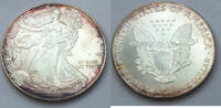 Anlagemünzen Dollar American Eagle 1 oz Silver - Toning Toned Coin ounce Bullion - CC595 -