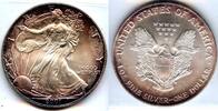 Anlagemünzen Dollar American Eagle 1 oz Silver - Toned Toning ounce Bullion Coin - DM70 -