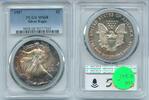 Anlagemünzen Dollar American Eagle 1 oz Silver PCGS MS68 Certified Toning Toned -SR358 -