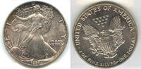 Anlagemünzen Dollar American Eagle 1 oz Fine Silver - US Mint ounce Bullion Coin DM594 -