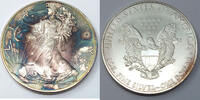 Anlagemünzen Dollar American Eagle 1 oz Silver - Toning Toned Bullion US Mint Coin H925 -