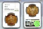 USA Dollar 1881-CC Toned Morgan Silver NGC MS 63 Carson City Mint - KR981 -
