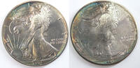 Anlagemünzen Dollar American Eagle 1 oz Fine Silver - Toning Toned US Mint Bullion J885 -