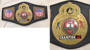 Other  Ringside Boxing Championship Belt Award Professional - JK163  539.36 元  ＋  运费