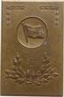 Österreich, Stadt Wien Einseitige Bronzeplakette 1934 Erster Wiener Donau Schwimmclub, Preismedaille, J.K.K. 34 III., 40 mm x 60 mm EF, min. Flecken, kl. Aufkleber an Rs. (entfernbar