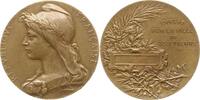 Frankreich, 3. Republik, St. Etienne Bronzemedaille v. Roty, Verdienstmedaille der Stadt -