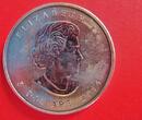 Kanada 5 Dollars 2014 Canada 5 $ Dollar - Silber - Maple Leaf mit Privy Mark (Beizeichen) F 15 F15 CH UNC. offen