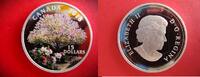 Kanada 15 CAD Dollar Dollars $ Silbermünze - Farbmotiv- Farbmünze - Aple Blossoms - Apfelblüte - hübsches Motiv -