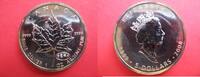 Kanada / canada 5 Dollars Canada 5 $ Silber Maple Leaf mit Privy Mark Feuerwerk Millennium -