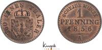 Brandenburg-Preußen Cu Pfennig Friedrich Wilhelm IV. 1840-1861. -