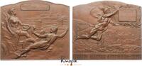 Haus Habsburg Bronzeplakette Franz Joseph I. 1848-1916. -