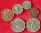 COLLECTION LOT JERSEY 6PC 42G #xx40 3463 DIV.