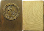 HUNGARY PLAQUETTE DIOSGYOR 1960 -