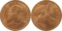 GAMBIA BUTUT -