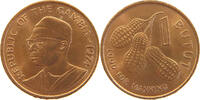 GAMBIA BUTUT -