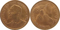 GAMBIA BUTUT -