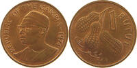 GAMBIA BUTUT -
