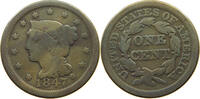 USA LARGE CENT BRAIDED HAIR -
