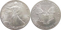 UNITED STATES OF AMERICA DOLLAR SILVER -