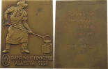 HUNGARY PLAQUETTE -