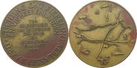 NETHERLANDS MEDAL -