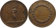 NETHERLANDS MEDAL HOLTZHEY, Societas Hagana Pro Vindicanda Religione Christiana -
