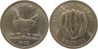 TONGA 5 SENITI -