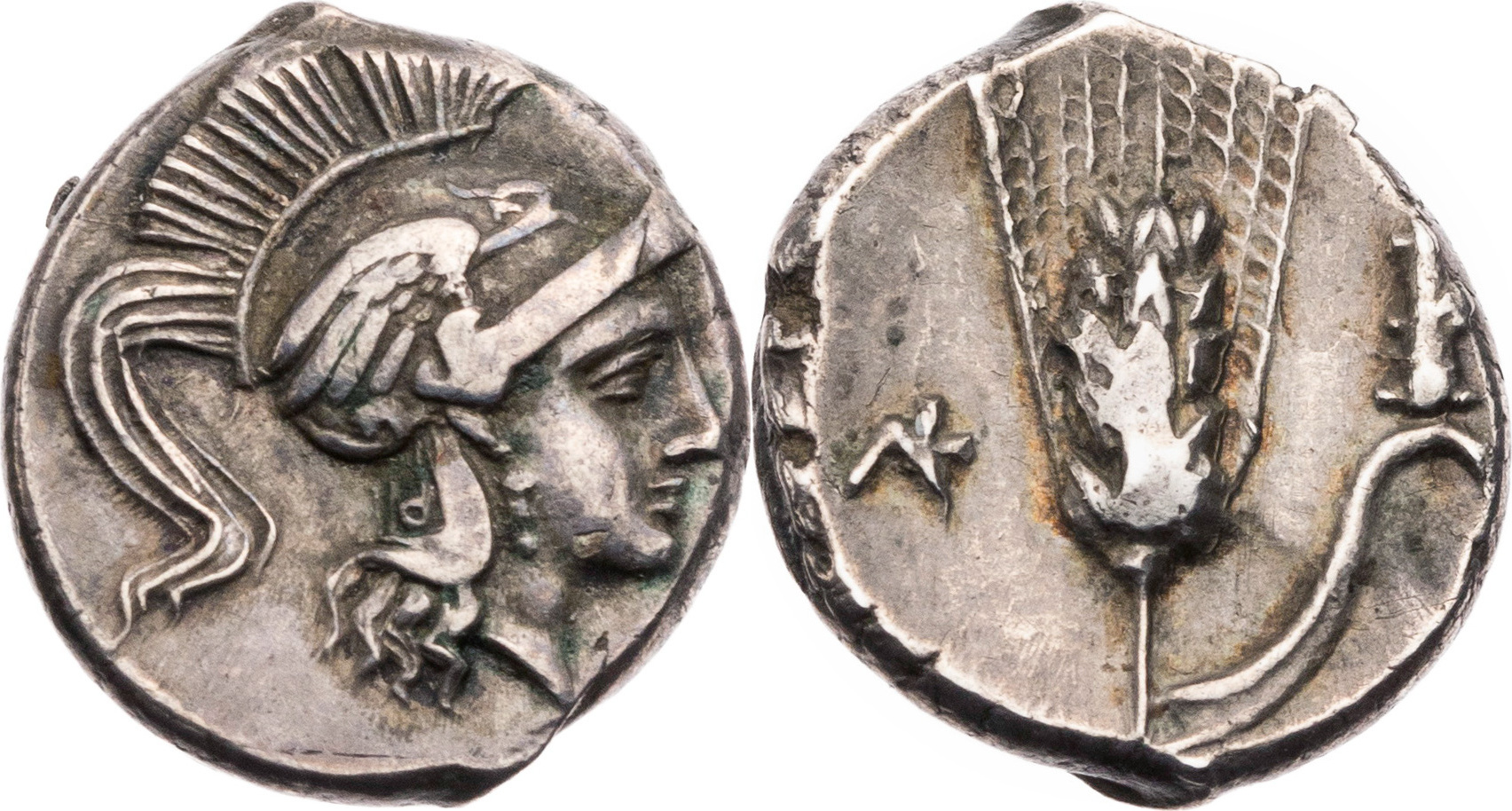 Lukanien Drachme 280278 v. Chr. Lukani, Kopf der Athena / Ähre, R