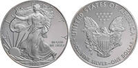 USA 1 Dollar American Silver Eagle -