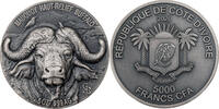 Elfenbeinküste 5000 Francs CFA Big Five - Buffalo -