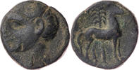 AE 209-205 / Chr.  Spanien Carthago Nova, Kopf des Scipio Africanus (? ... 280,00 EUR + 7,00 EUR kargo