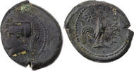 AE'ler 265-240 v. Chr.  Kampanien Teanum Sidicinum, Kopf der Athena / Hahn ... 90,00 EUR + 10,00 EUR kargo
