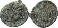  AEs 275-250 v. Chr. Lukanien Metapont, Kopf des Herakles / Ähre ss/s-ss  50,00 EUR  +  10,00 EUR shipping