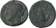  AEs 275-250 v. Chr. Lukanien Metapont, Kopf des Dionysos / Ähre ss-  40,00 EUR  +  10,00 EUR shipping