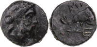 AE'ler 4. Jh.  v. Chr.  Ionien Myus, Kopf des Poseidon / Delphin über Dreiza ... 30,00 EUR + 10,00 EUR kargo