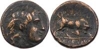 AE 282-281 / No. Chr.  Königreich der Seleukiden Seleukos I.Nikator, Sard ... 70,00 EUR + 10,00 EUR kargo