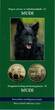 Ungarn 2000 Forint 2022 Mudi - Hund - Hütehund- Tiere PL - proof like in Kapsel mit Flyer