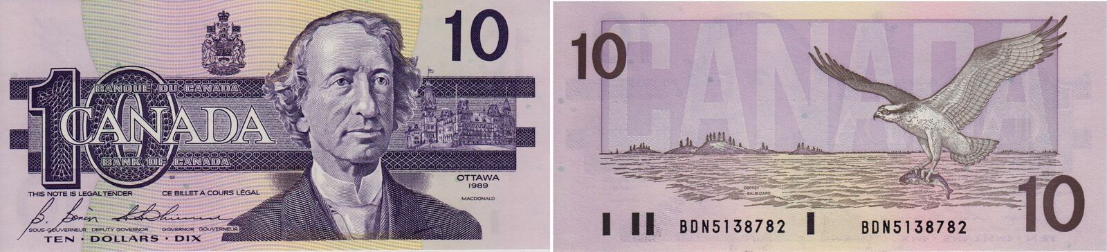 Сколько в рублях 20 долларов на сегодня. 10 Долларов Канада 1986. Банкнота с канадским гусём. Canada Dollar 2024. 10 Dollars 1989 Bermuda Gold.