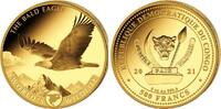 Kongo 500 Francs/ 5 Unzen Weißkopfseeadler - Bald Eagle - 5 Unzen -