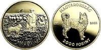 Ungarn 2000 Forint Mudi - Hund - Hütehund- Tiere -