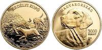 Ungarn 3000 Forint Erdely Kopo - Ungarische Bracke - Hund - Tiere -