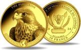 10 Francs 2024 Kongo Wanderfalke - Falke - Vogel - Greifvogel st in Kapsel