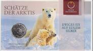Österreich 5 Euro im Folder Ewiges Eis auf edlem Silber - Schätze der Arktis - Abenteuer Arktis - Eisbären -