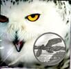 Kanada 50 Dollar Schneeeule -