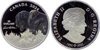Kanada 30 Dollar Bison - 2 Unzen -