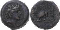   223-187  v. Chr. Seleukiden Antiochos III., der Große 223-187 v. Chr..... 80,00 EUR  +  7,00 EUR shipping