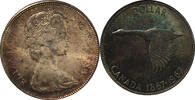 Kanada 1 Dollar 1967 Wildgans vz 311.83 元  ＋  233.87 元 运费
