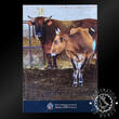 Malta 2025 2 Euro Commemorative – Official Coincard – Maltese Ox – BU