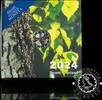 Finland 2 EURO 2 EURO PROOF – Gesellius, Lindgren, Saarinen -
